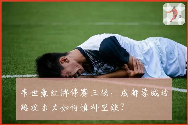 韦世豪红牌停赛三场,成都蓉城边路攻击力如何填补空缺?
