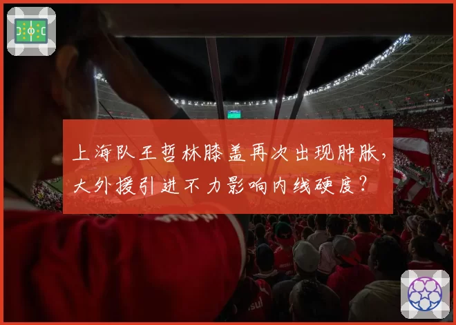 上海队王哲林膝盖再次出现肿胀,大外援引进不力影响内线硬度?
